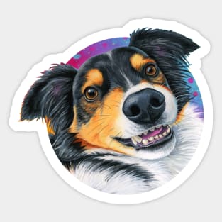 Black Tricolor Australian Shepherd Dog Sticker